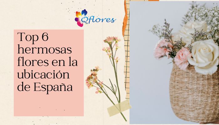 Top 6 hermosas flores en la ubicaci&oacute;n de Espa&ntilde;a