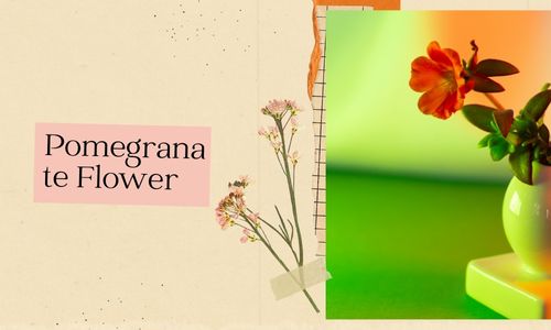 Flor de granada