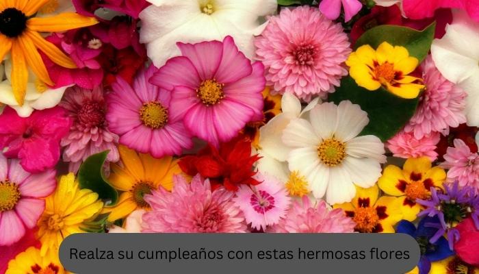 Realza su cumpleaños con estas hermosas flores