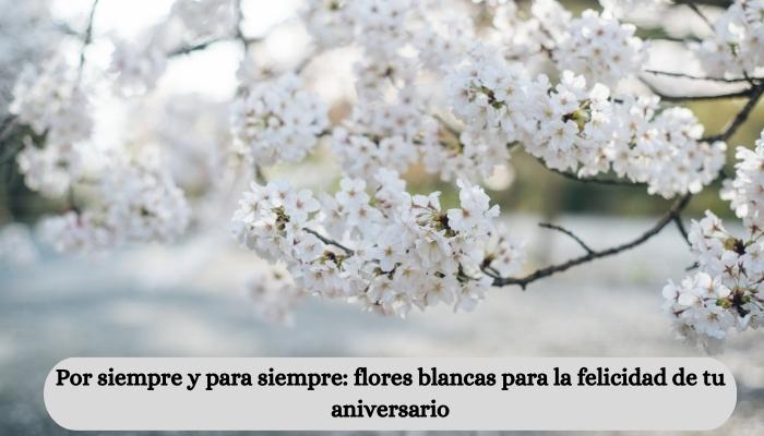 Por siempre y para siempre: flores blancas para la felicidad de tu aniversario