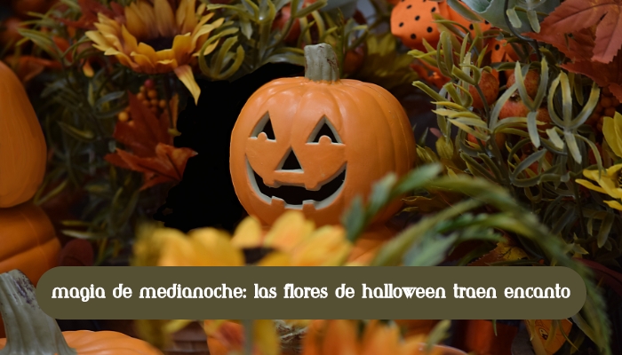 Encantamiento floral de la Magia de Medianoche