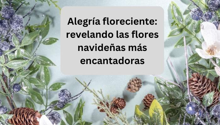 Alegría floreciente: revelando las flores navideñas más encantadoras