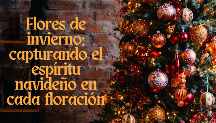 Flores de invierno: capturando el espíritu navideño en cada floración