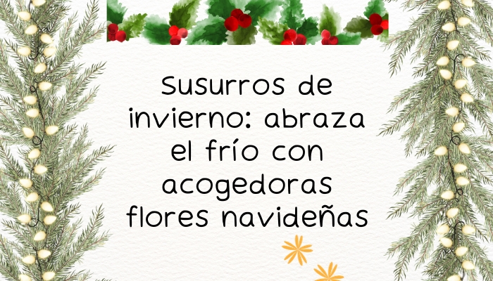 Susurros de invierno: abraza el frío con acogedoras flores navideñas