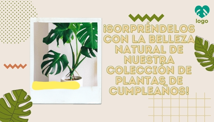 ¡Sorpréndelos con la belleza natural de nuestra colección de plantas de cumpleaños!