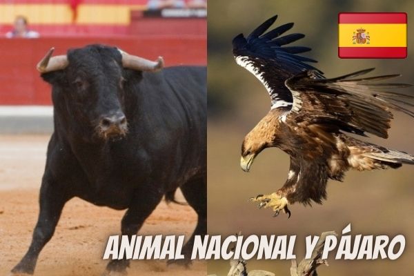 national animal and bird in spain