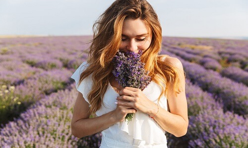 most fragrant flowers in the world lavender