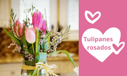 Ramo de tulipanes rosas