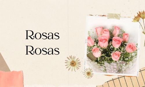 Rosas Rosas