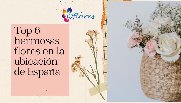Top 6 hermosas flores en la ubicación de España