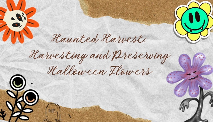 Cosecha encantada: cosecha y conservación de flores de Halloween
